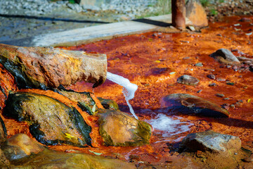 Tranquil Mineral Spring with Natural Iron Elements in the Wilderness