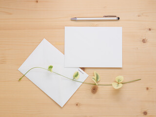 Envelope and paper card empty on wooden table with pen and ivy branch. Office stationery mockup flat lay. - 702410878