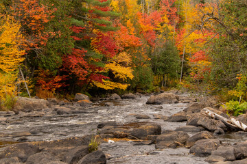 Scenic views of autumn colours along the North River, Quebec.