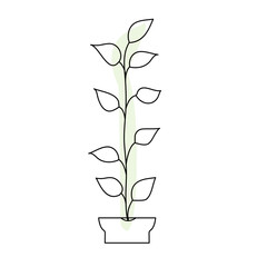 Continuous single-line art of plant. Cute plant one-line drawing vector and illustration
