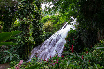 water fall in botanical garden