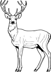 Deer SVG bundle, Deer SVG, deer outline svg, 3d deer svg, deer hunting svg, white tail deer svg, baby deer svg, deer scene svg