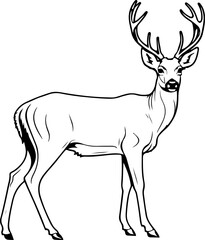 Fototapeta na wymiar Deer SVG bundle, Deer SVG, deer outline svg, 3d deer svg, deer hunting svg, white tail deer svg, baby deer svg, deer scene svg