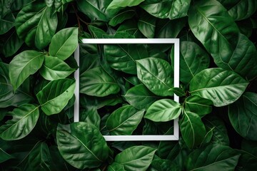 A lush oasis encircles a pristine white frame, showcasing the natural beauty of a single leaf in...