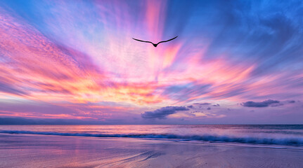 Inspirational Motivational Hope Images Soaring Bird Silhouette  Beautiful Ocean Sunset Beach