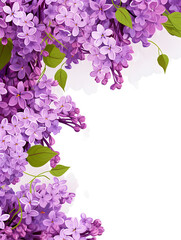 Frame with purple lilac flowers and white background with copy space 