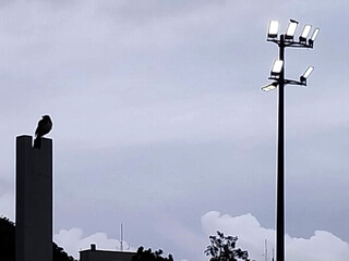 street lamp and sky