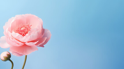 Holiday party background, New Year, birthday, celebration, Christmas background with blank copy space