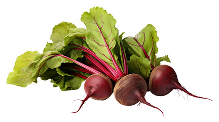 Fresh beets with leaves, cut out - obrazy, fototapety, plakaty