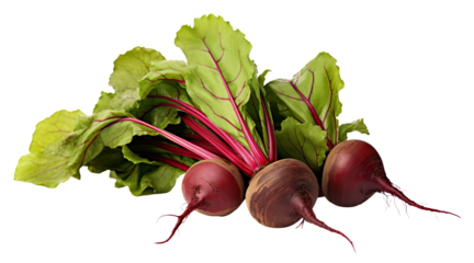 Fresh beets with leaves, cut out
