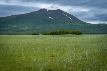 Alaskan brown bear in the distance. Grazing on sedge grass with mountains of Lake Clark National Park and Preserve, Alaska. Safe viewing distance. 