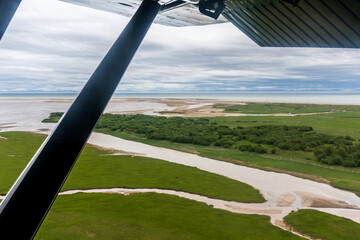 Alaskan brown bears gazing near Tuxedni Wilderness in the Cook Inlet at Lake Clark National Park in Alaska. Aerial view of Bear Creek flowing into Tuxedni Channel. Aerial view with airplane wing.