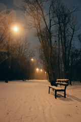 Fototapeta na wymiar Empty winter park with street lamps at night. Winter landscape. Snowfall in the city. Bench on the alley in evening park. Frozen weather background. February weather. Snow and freeze. 