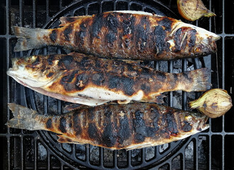 Trout fish on the grill cooking over hot wood fire, outside. Trout barbecue cooked on campfire. Top...