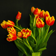 a large bouquet with red and yellow tulips stands on a black background. bouquet. holiday. Happy holiday. postcard. poster calendar. spring. copy space