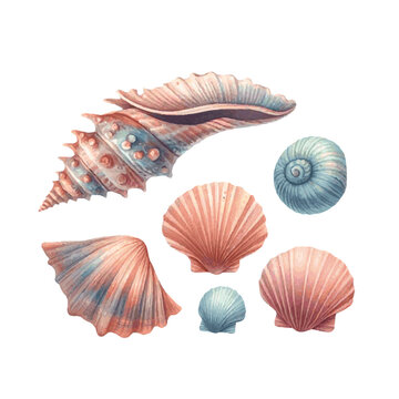 Colorful sea shell watercolor paint. Vector Illustration