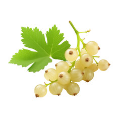 fresh organic white currant cut in half sliced with leaves isolated on white background with clipping path
