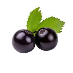 fresh organic jabuticaba cut in half sliced with leaves isolated on white background with clipping...