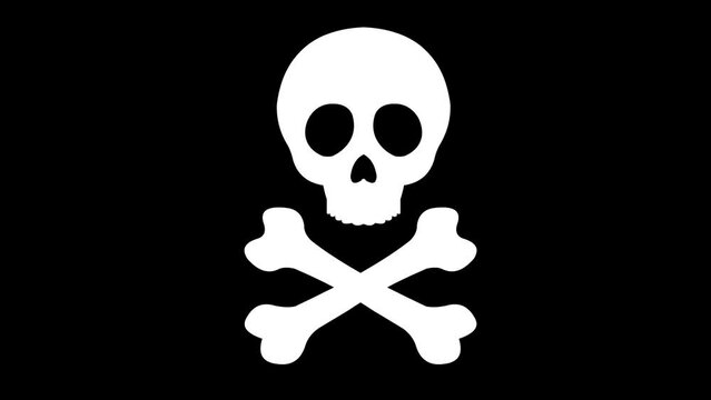 video animation icon skull head, in concept malware software virus or hacker computer. On a transparent background with alpha channel set to zero