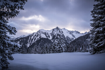 Obraz premium Winter { Landschaft