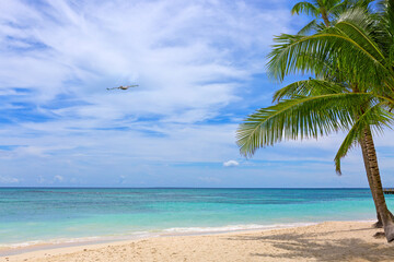 Fototapeta na wymiar Tropical palm trees on the Caribbean beach and blue sky background.