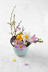 Twigs of wild plum and crocus in cup
