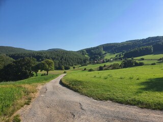 Fototapeta na wymiar Road leads through idyllic landscape: rolling green hills and blue sky in Lower Austria. Copy space for text