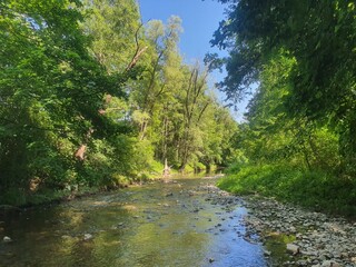 Idyllic creek: Schwechat river next to Helenentalradweg. Wonderful and calm landscape. Perfect place for cycling between Baden and Alland in Lower Austria