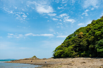 干潮の岬の先端20230503