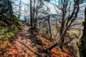 Wanderweg am Berg Klic oder alt Kleis im Lausitzer Gebirge, Böhmen - Hiking trail on the mountain Klic, Kleis in Lusatian Mountains - obrazy, fototapety, plakaty