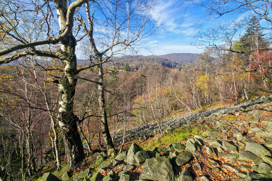 Blockhalde am Berg Klic oder alt Kleis im Lausitzer Gebirge, Böhmen - Stone run on mountain Klic, Kleis in Lusatian Mountains