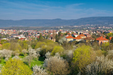 Blick auf die Stadt Teplice in Böhmen im Frühling mit Obstblüte - View of Teplice town in Bohemia in spring - 702457409