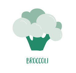 A hand drawn broccoli cabbage. Green vegetable for healthy vegan lifestyle. Go vegetarian. A simple flat illustration.