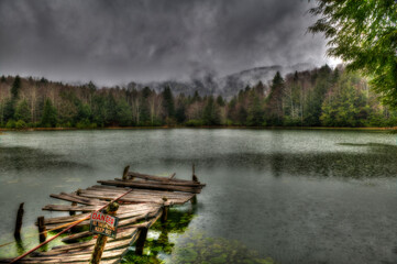 Old pier in a pond with Danger sign