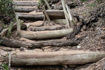 Holztreppe auf Robberg Island
