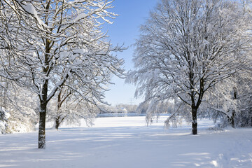 Snowy landscape with snow covered trees a lake and a single white house in the background. Lake Feringa near Munich, Germany.