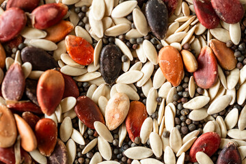 top view of several types of seeds: pumpkin seeds, poppy seeds, bean seeds... all forming a...