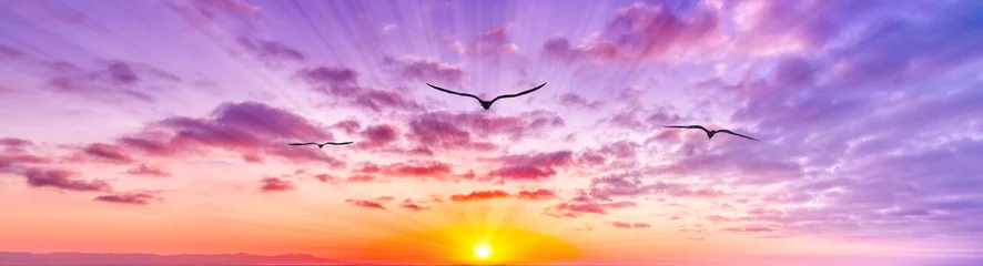 Foto op Plexiglas Sunset Bird Inspirational Images Flying Silhouette Soaring Colorful Sun Rays Sky Hope Faith Banner Header © mexitographer
