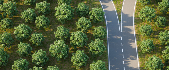 Arial image of a forked road within a forest of horse chestnut trees - concept for "taking a decision" / choice / options. 3d render