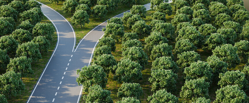 Aerial image of a forked road within a forest of horse chestnut trees - concept for "taking a decision" / choice / options. 3d render