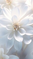 A close up of a bunch of white flowers