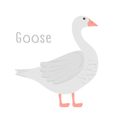 Adorable lovely goose hand drawn. Cute funny feathered animal in kawaii style. Domestic bird and farm animal in pastel colors isolated Kids childish kawaii bird in Scandinavian style. Vector