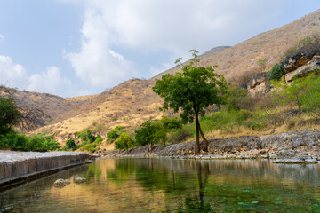Fototapeta na wymiar Ain RAZAT Spring, a well-known fresh-water spring and picnic spot close to Salalah.