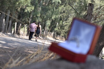 anillo, compromiso
