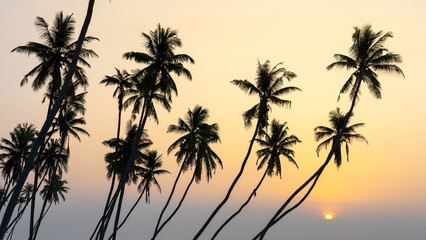 many coconut trees at gorgeous al haffa beach in salalah during sunrise, Oman, - obrazy, fototapety, plakaty
