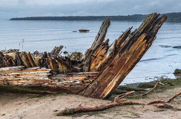 Kasispea (Comté de Harju, Estonie, Europe) - Epave d'un ancien navire trois mats Laevavrakk sur la plage en bordure de la mer baltique - 702478013