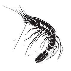Shrimp in cartoon, doodle style. Isolated 2d vector illustration in logo, icon, sketch style, Eps 10. AI Generative