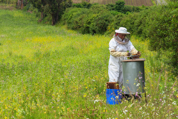 mujer latina en medio de un campo verde con una maquina centrifugadora manual sacando miel de abeja de unos panales llenas de miel la apicultora esta vistiendo un traje de seguridad de color blanco