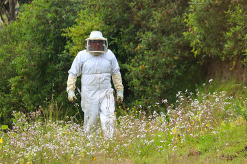 hombre apicultor caminando en una montaña con su traje de seguridad para la picadura de las abejas en una montaña de los andes 