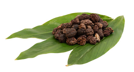 Bustard cardamom, Tavoy cardamom or Amomum villosum dried fruits and branch green leaves on transparent background.